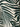 Close-up of the soft trouser green oasis by Sanctuary Clothing, showcasing bold abstract black and white leaf patterns with curved and diagonal lines in extended sizing.