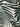 Close-up of the soft trouser green oasis by Sanctuary Clothing, showcasing a bold black and white leaf or zebra stripe pattern with curved, diagonal lines for a dynamic, organic look.