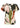The perfect tee reef vibes by Sanctuary Clothing features a relaxed fit, short sleeves, and a bold abstract leaf print in green, pink, cream, and rust for laid-back casual style.